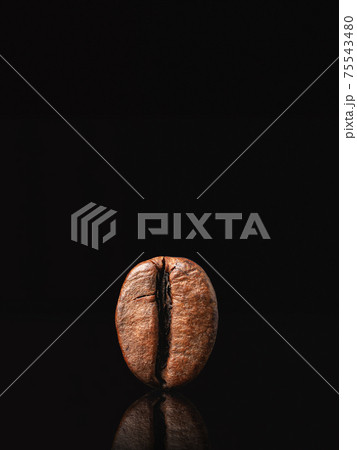Coffee bean on black background. Low key Coffee bean on black background. Low key 75543480