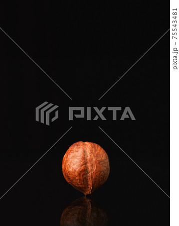Hazelnut on black background. Low key style. Nut 75543481