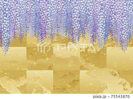 装飾背景-藤棚と金箔 75543870