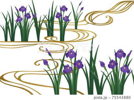 装飾背景-ハナショウブと流水 装飾背景-ハナショウブと流水 75543880