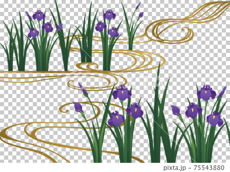 裝飾背景-虹膜和自來水 裝飾背景-虹膜和自來水 75543880