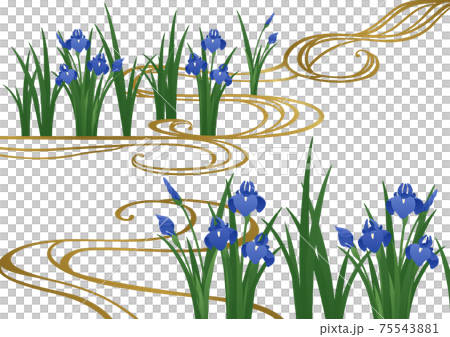裝飾背景鳶尾花和自來水 裝飾背景鳶尾花和自來水 75543881