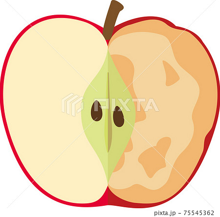切り口の半分が酸化したリンゴ 切り口の半分が酸化したリンゴ 75545362