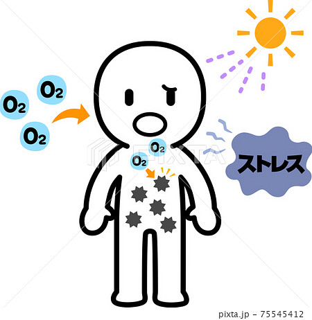 体内で活性酸素が発生するイメージ 体内で活性酸素が発生するイメージ 75545412
