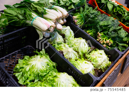 Counter of greengrocery with fresh greens 75545485