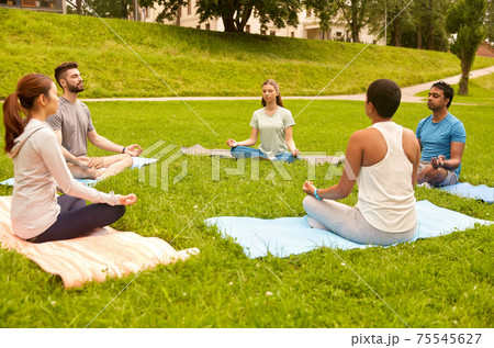 group of people doing yoga at summer park group of people doing yoga at summer park 75545627