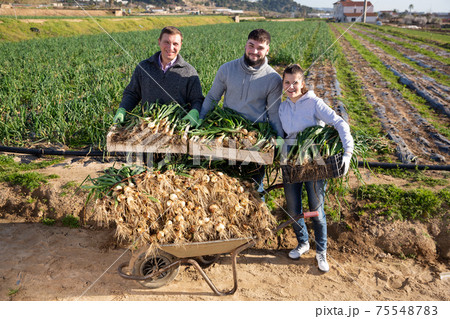 Happy farm family with freshly harvested scallions Happy farm family with freshly harvested scallions 75548783