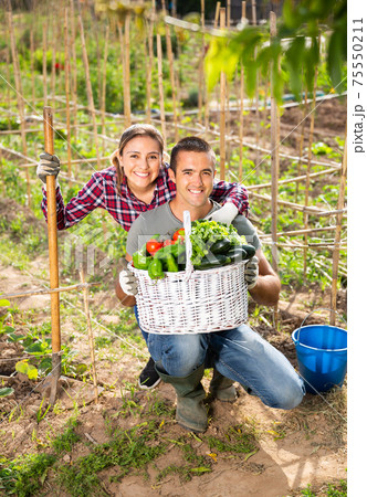 Cheerful couple showing harvest of vegetables in garden 75550211