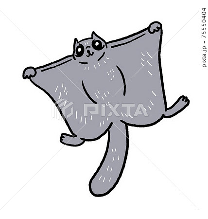 エゾモモンガのイラストのイラスト素材