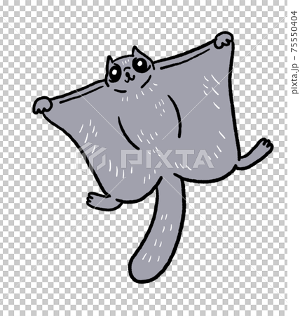 エゾモモンガのイラスト エゾモモンガのイラスト 75550404