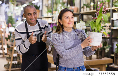Positive woman chooses orchids in flower shop Positive woman chooses orchids in flower shop 75551559