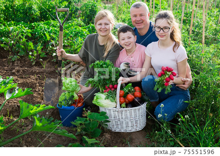 Happy family posing with basket of ripe vegetables on field 75551596