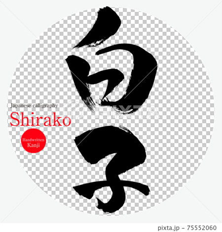 白子・Shirako（筆文字・手書き） 75552060