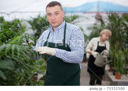Man gardener is taking care of flowers near plants 75552500