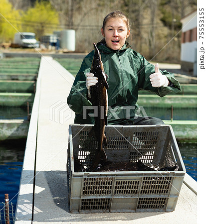 Woman fish farmer holding sturgeon Woman fish farmer holding sturgeon 75553155