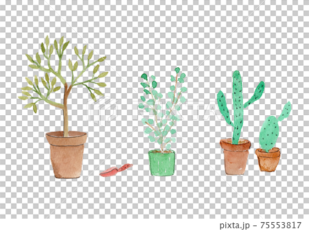 鉢植えのオリーブ、ユーカリ、サボテン、スコップの水彩イラスト 75553817