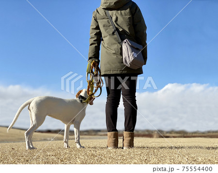 犬の散歩をする女性後ろ姿 犬の散歩をする女性後ろ姿 75554400