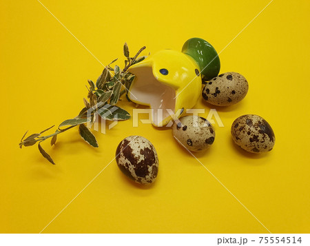 Quail Easter eggs and spring branches on a yellow background. Easter greeting, postcard, copy space, easter decorations 75554514