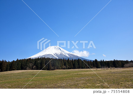 富士山麓朝霧高原 富士山麓朝霧高原 75554808