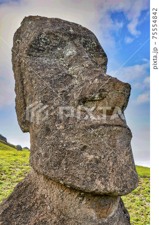 Moai Statues on Easter Island at the Rano Raraku Quarry Moai Statues on Easter Island at the Rano Raraku Quarry 75554842