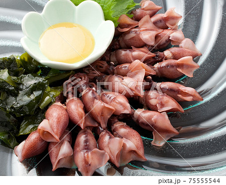 ホタルイカ 75555544