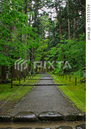 白山平泉寺ー苔寺 白山平泉寺ー苔寺 75555554