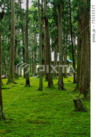 白山平泉寺ー苔寺 75555577