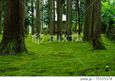 白山平泉寺ー苔寺 75555578