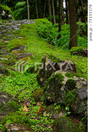白山平泉寺ー苔寺 75555579
