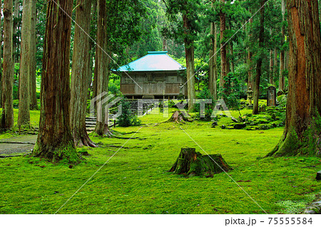 白山平泉寺ー苔寺 75555584