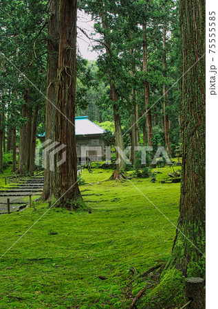 白山平泉寺ー苔寺 75555585