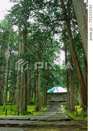 白山平泉寺ー苔寺 75555592
