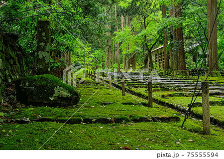 白山平泉寺ー苔寺 75555594
