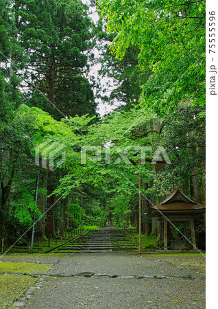白山平泉寺ー苔寺 75555596