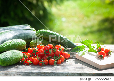 Harvest of zucchini, cucumbers and tomatoes, still life on natural garden background, space for text Harvest of zucchini, cucumbers and tomatoes, still life on natural garden background, space for text 75555987