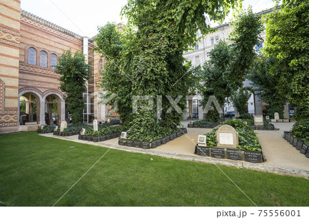 the synagogue in Budapest 75556001