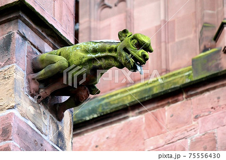 ドイツ フライブルク大聖堂のガーゴイルの写真素材