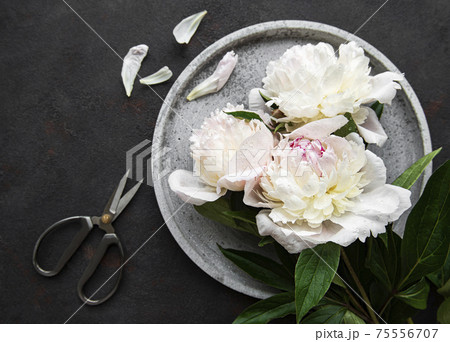 Peony flowers on a black concrete background 75556707