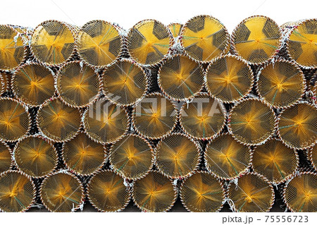 漁 ひも 漁師 75556723