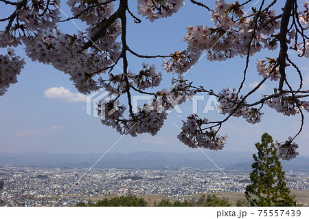 米沢市全景　御成山公園 75557439