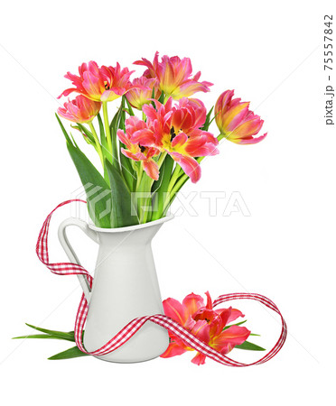 Yellow and orange tulip flowers in a white jar and satin checkered ribbon isolated on white 75557842