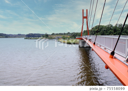 北潟湖畔 北潟湖畔 75558099