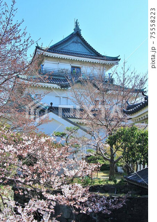 和歌山城天守閣(和歌山県和歌山市) 和歌山城天守閣(和歌山県和歌山市) 75558223