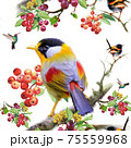 Birds on berry branch seamless pattern on white background 75559968
