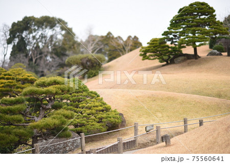 水前寺成趣園 75560641