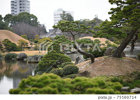 水前寺成趣園 75560714