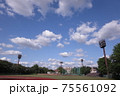 東京、板橋区立小豆沢野球場（2面）の5月の風景です 75561092