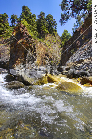 Barranco de Rivanceras, Caldera de Taburiente National Park, Spain Barranco de Rivanceras, Caldera de Taburiente National Park, Spain 75561646
