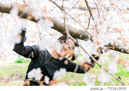 桜を見る若い女性 75561959