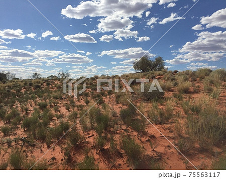 エアーズロックの砂漠 75563117